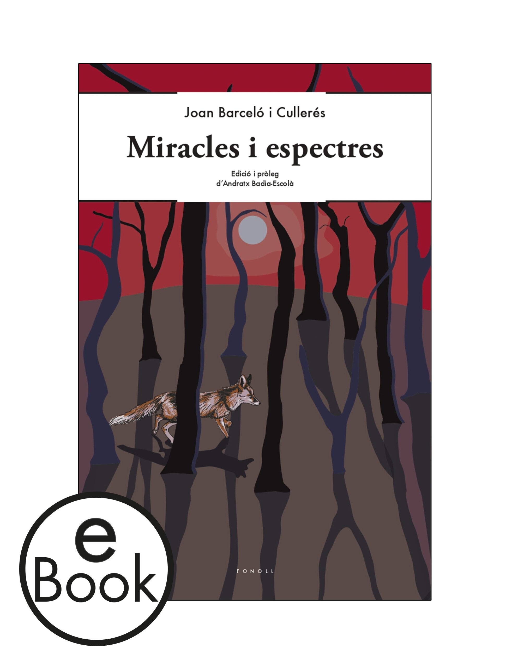 Ebook Miracles i espectres