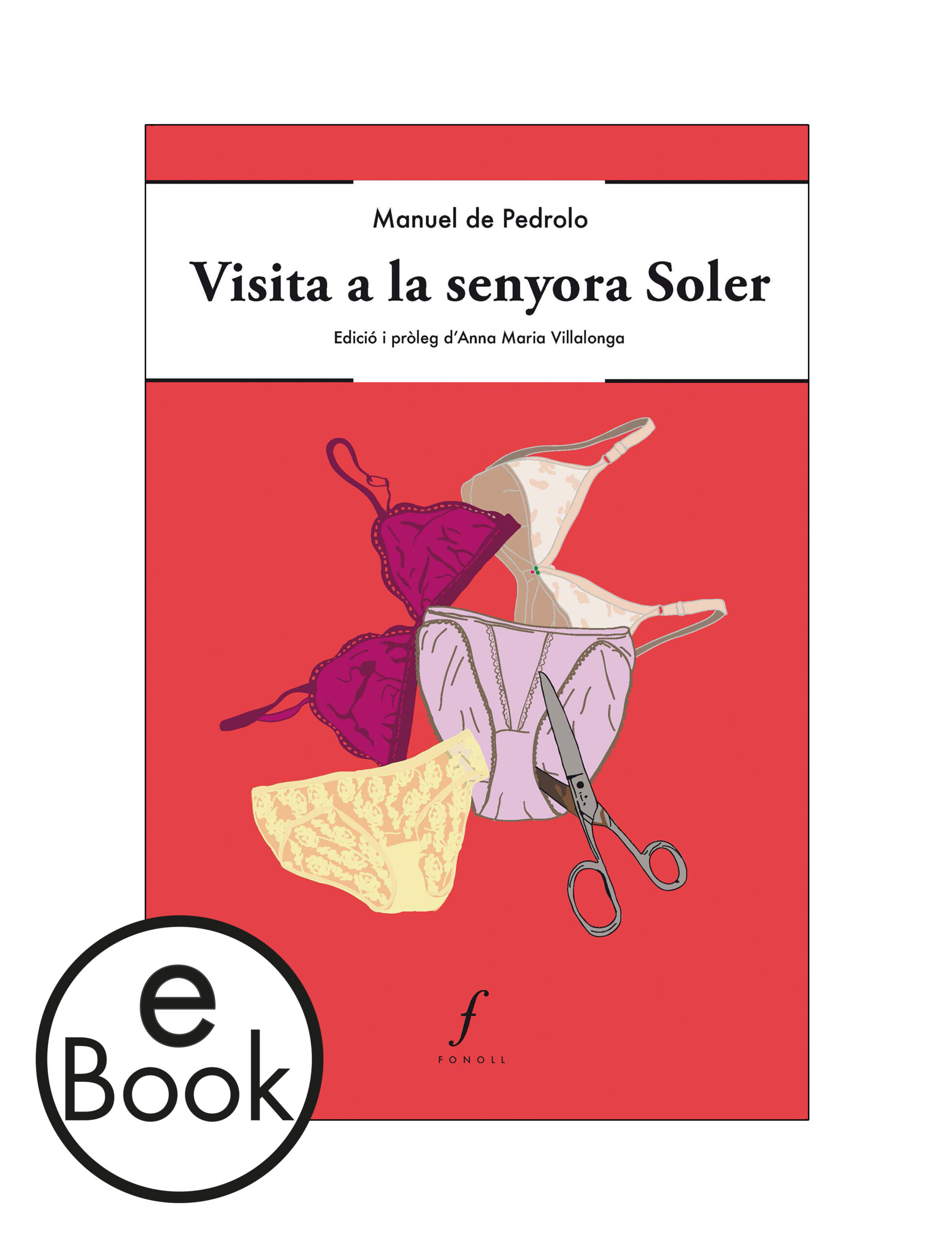 Ebook Visita a la senyora Soler